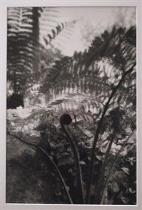 Image description is not available for 2004.009